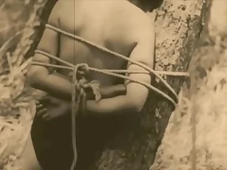 1629 bdsm porn videos